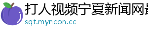 打人视频宁夏新闻网最新